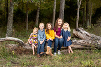 Website -2