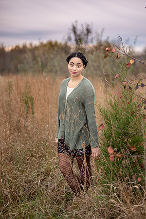 Website -54